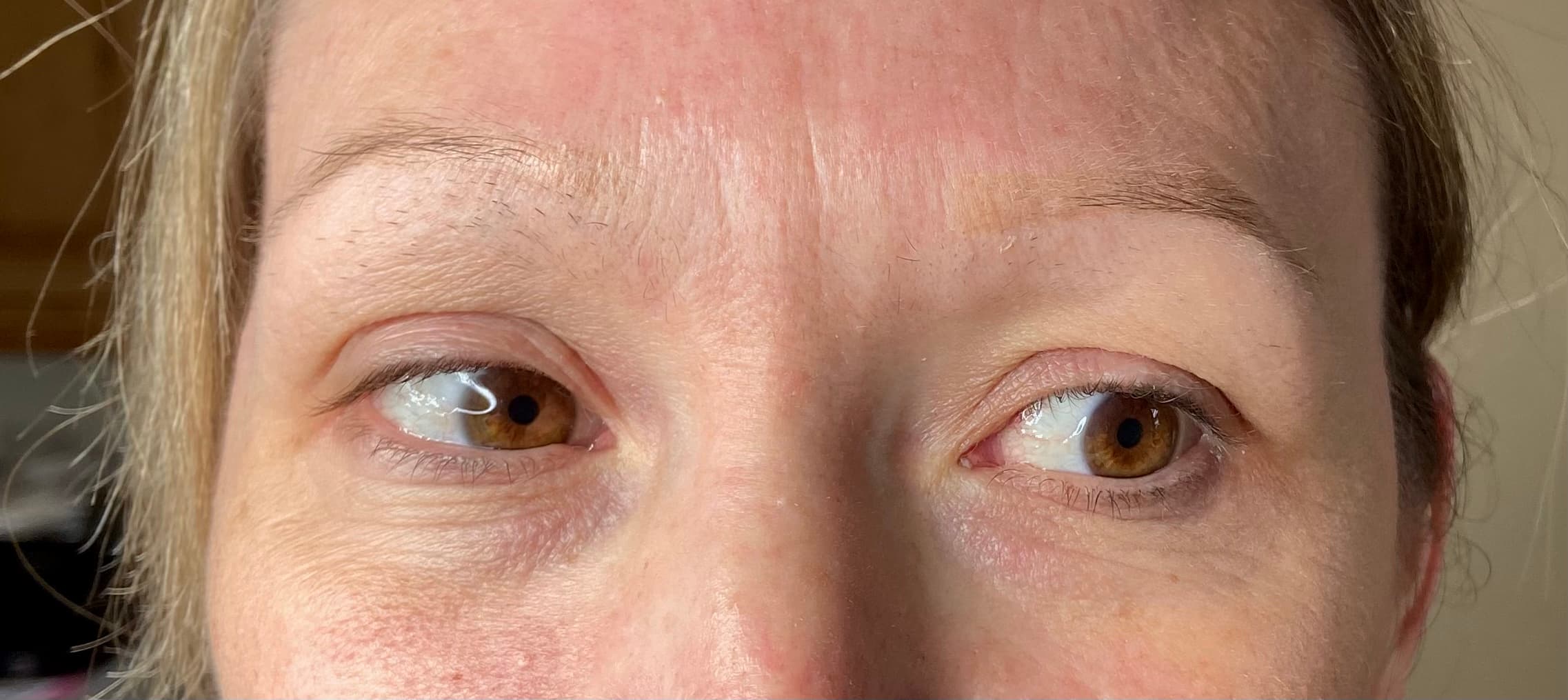 microblading before Tiverton